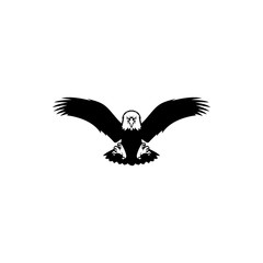 eagle flying view front vector illustrations