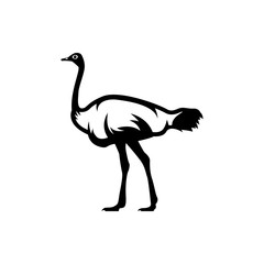 ostrich vector silhouette