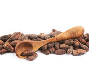 Line of cocoa beans isolated