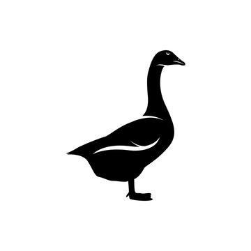 goose vector silhouette