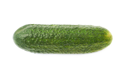 Fresh green cucumber isolated