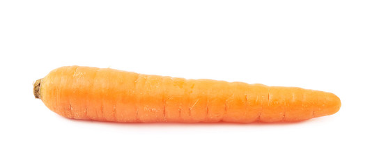 Fresh carrot isolated