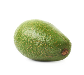 Avocado fruit isolated