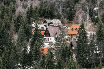 Fototapety na wymiar - Fototapeta24.pl