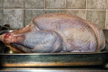 A turkey on a tray ready to pop into an oven