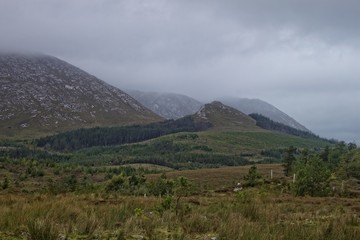 A moody landscape featuring mountains and trees
