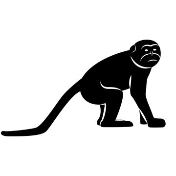 Vector image of silhouette of monkeys macaques on a white background
