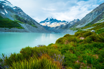 Fototapeta na wymiar Beautiful nature in Mt Cook National Park, Green grass, Mountain, lake and snow.
