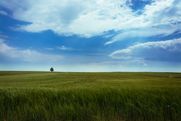 popołudniowa sielanka2