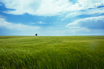 popołudniowa sielanka3