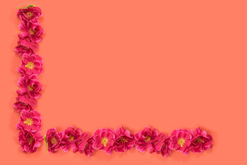 Red flowers on red background.