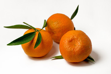 Tangerines on a white background with bright green leaves. Side view, close up. Citrus reticulata.