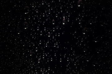 Macro photo of drops water on black background.