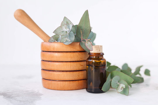 Eucalyptus Oil