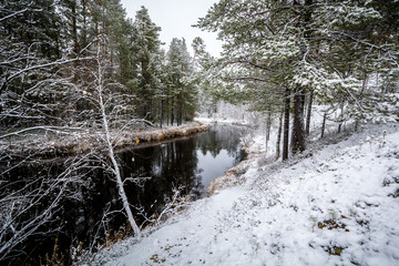 Forest winter flow river lies and strikes the shores of the Siberian taiga