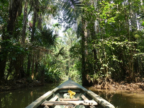 En Amazonie au P&eacute;rou