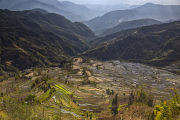 Terraced Rice Fields Scenery in Spring Water Season in South China