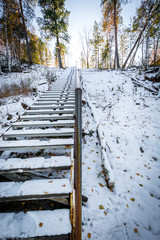 Ascending ladder for ascent and descent