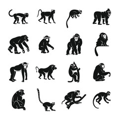 Monkey types icons set, simple style © ylivdesign