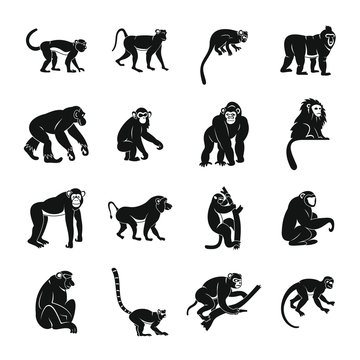 Monkey types icons set, simple style