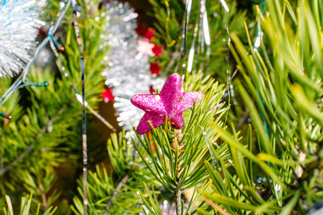 New Years toy - star hung on a tree branch