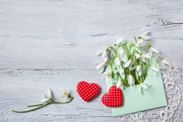 Snowdrops in an envelope and red hearts on a wooden background
