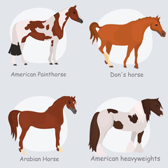 Horse breeds color flat icons set