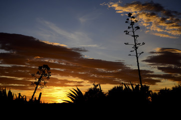 Atardecer Almería