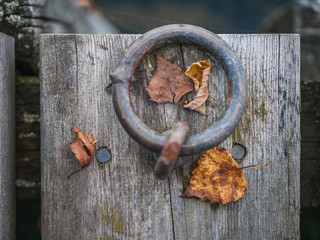 Autumn on the bridge