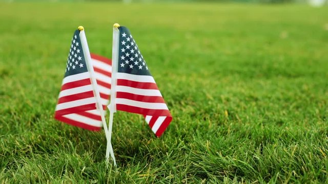 US flags on a green lawn. The US flag is flying in the wind. American flag on the grass.