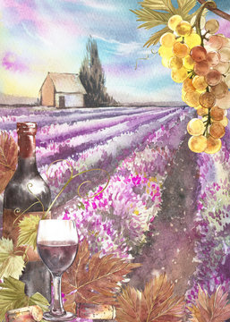 Bottles and leaves of grapes. Background with a lavender field. Watercolor illustration for postcards, scrabbuking. Hand drawn watercolor illustration. Banners of wine vintage background.