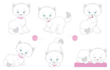 Set of white kittens in different poses