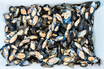 frozen mussels top view