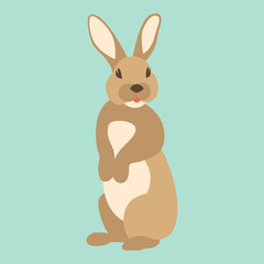  hare rabbit vector illustration flat style    front  side