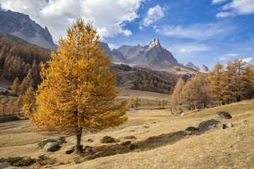Vallée de La Clarée avec en arrière-plan la Pointe des Cerces (3093 m), Hautes-Alpes 