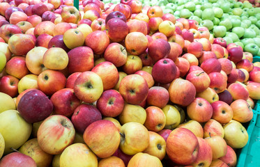 Apples on the market, a large fruit counter, ripe apples red, green