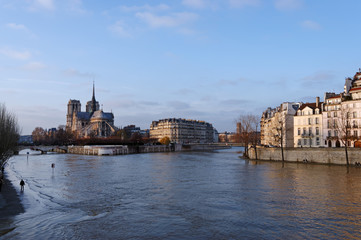 Fototapeta premium Notre Dame et Seine en crue à Paris