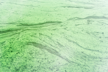 The polluted green water in canal. Water with Green Algae.
