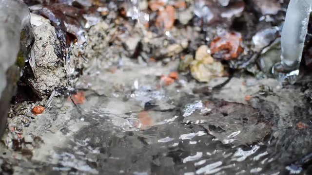 Close-up view of the natural water stream falling down from the old natural springlet in the beggining of the spring season
