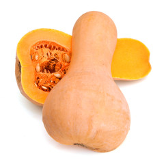 Butternut squash isolated on white background