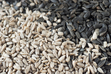 sunflower seeds macro