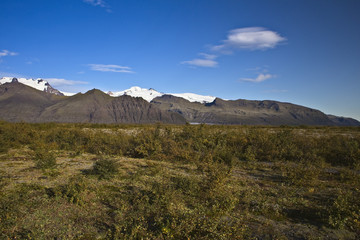 Fototapeta premium Near barren lowland scrub in southern Iceland.