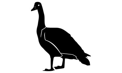 silhouette picture of goose standing