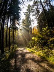 Obraz premium C:\DCIM\100GOPRO\GOPR1783.GPR