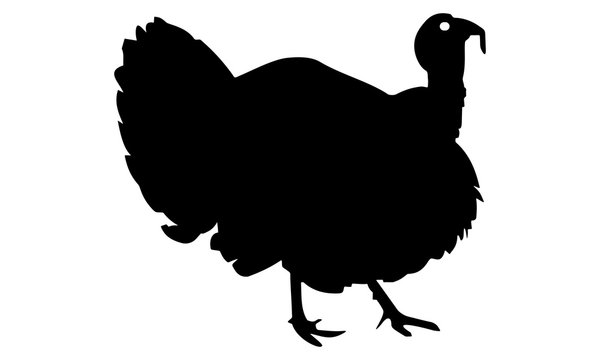 running turkey silhouette