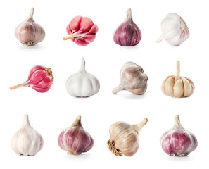 Collection of garlic on white background