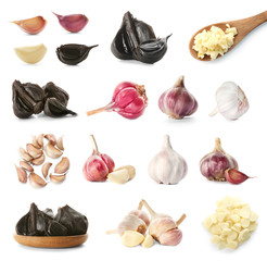 Collection of garlic on white background