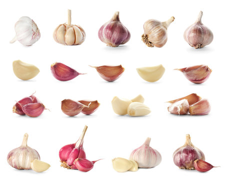 Collection of garlic on white background