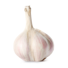 Fresh garlic head on white background