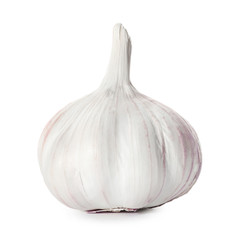 Fresh garlic head on white background